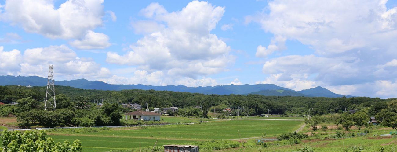 大豆戸t区からの熊井の森