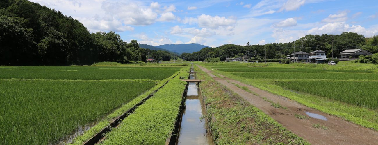 須江地区で